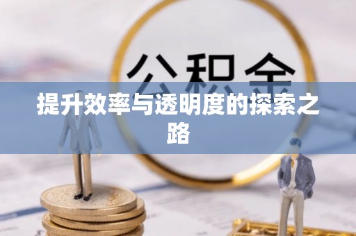 宜州提升效率与透明度的探索之路