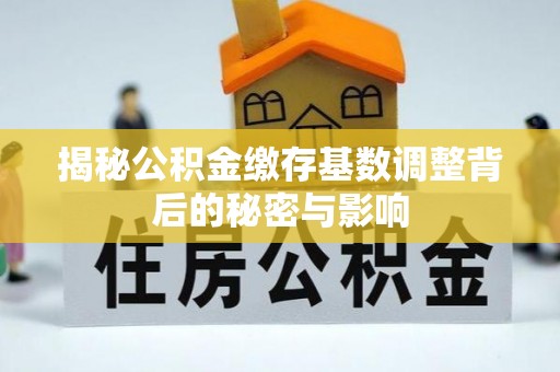 宜州揭秘公积金缴存基数调整背后的秘密与影响