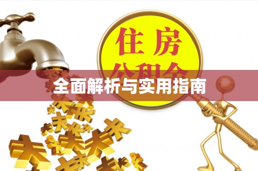 宜州全面解析与实用指南